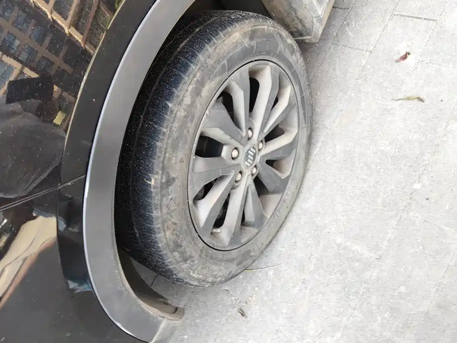WM Motor EX5 — миниатюра 6