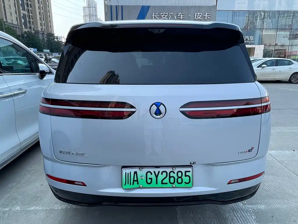 Denza Denza N8L — миниатюра 10