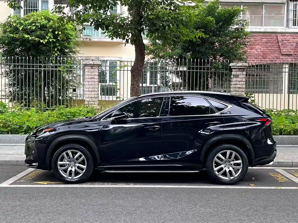 Lexus NX — миниатюра 14