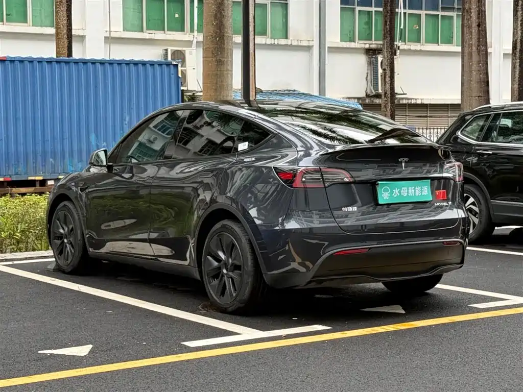 Tesla Model Y — миниатюра 10