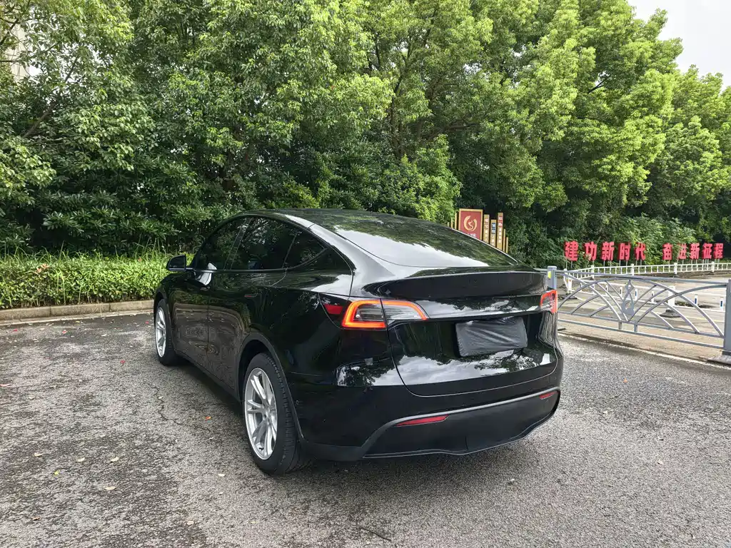 Tesla Model Y — миниатюра 4