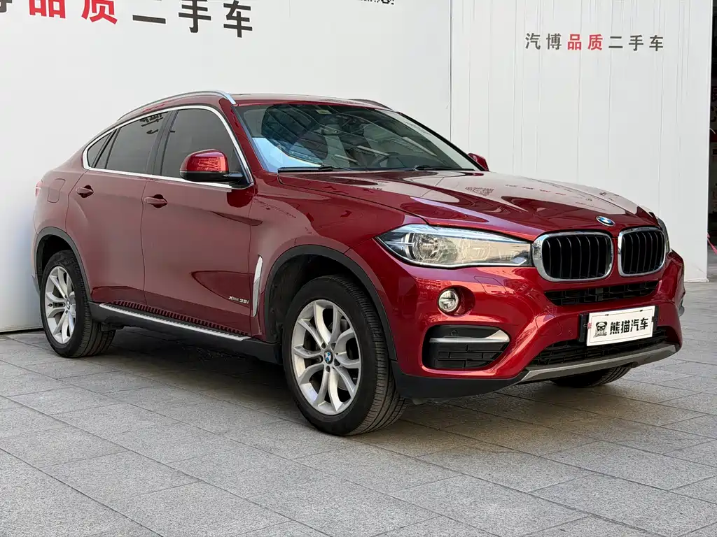 BMW X6 — миниатюра 3