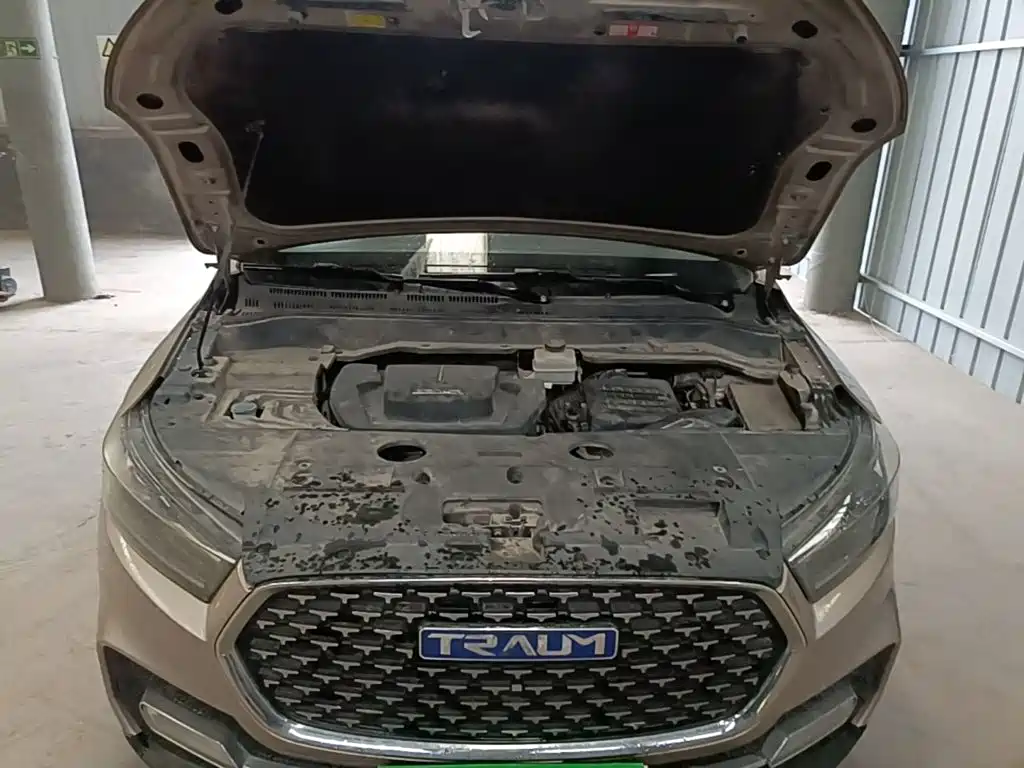 TRAUM S70 — миниатюра 20