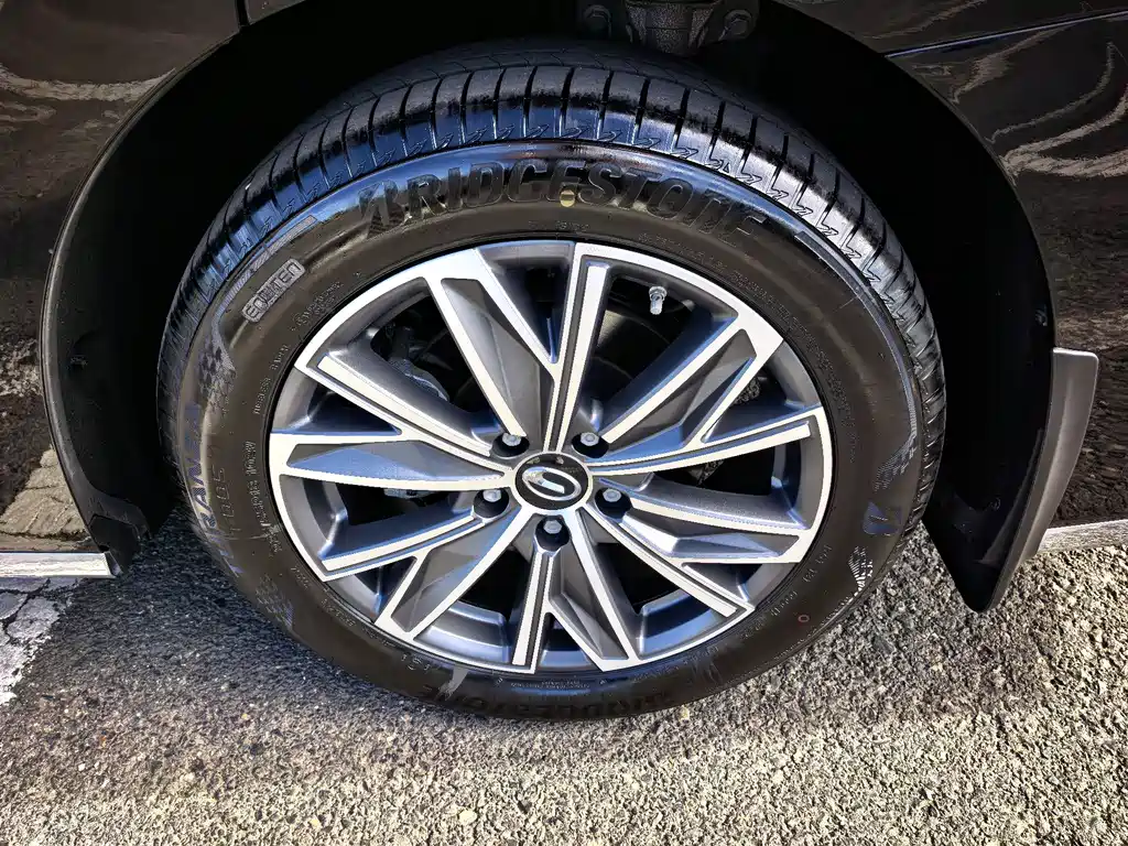GAC Motor Trumpchi M8 — миниатюра 10