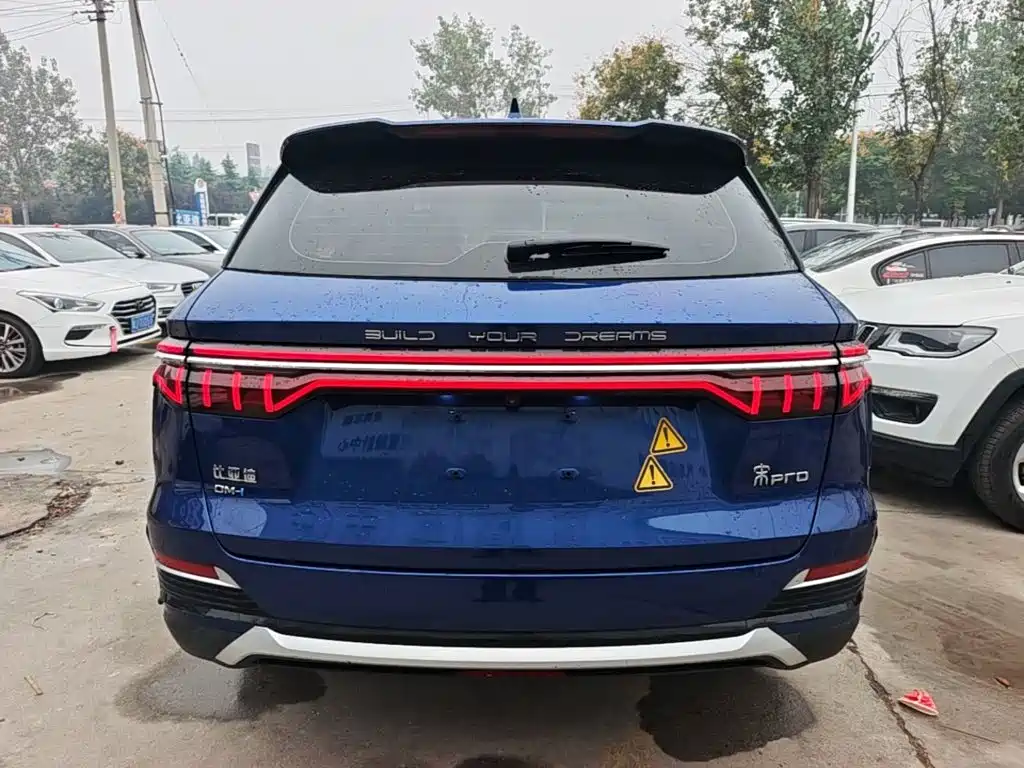 BYD Pro New Energy — миниатюра 6