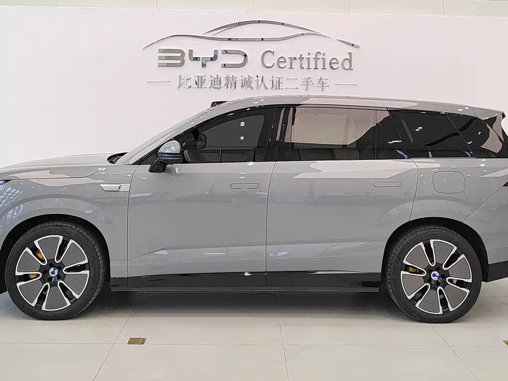 Denza Denza N8L — миниатюра 3
