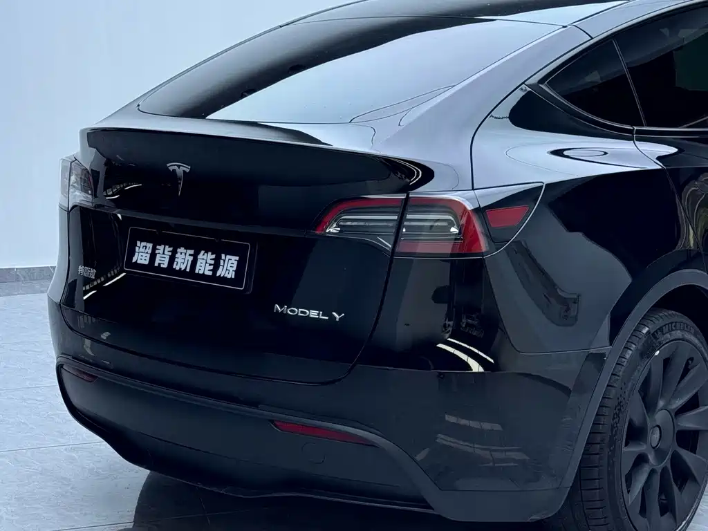 Tesla Model Y — миниатюра 14