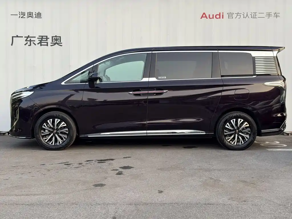Hongqi Hongqi HQ9 — миниатюра 15