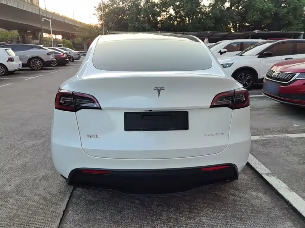 Tesla Model Y — миниатюра 6