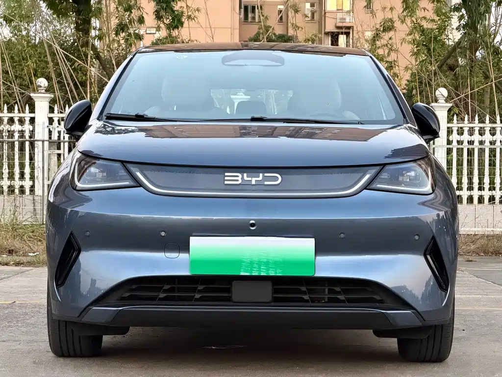 BYD Dolphin — миниатюра 2