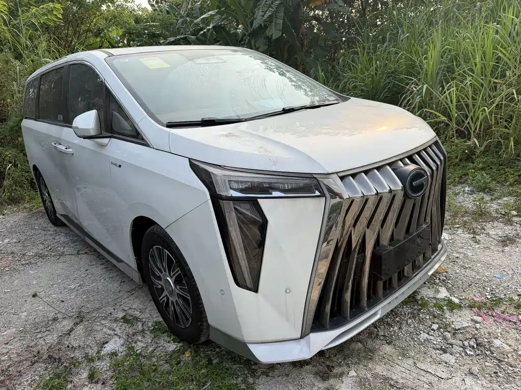 GAC Motor Trumpchi E9 — миниатюра 3