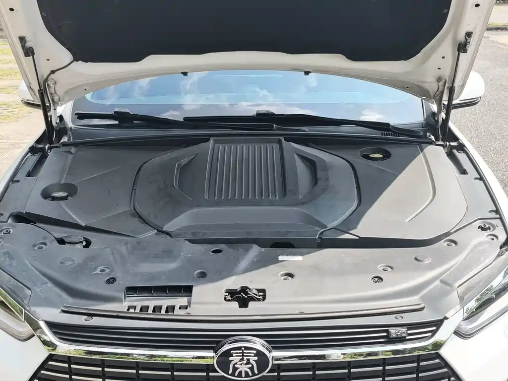 BYD Qin Pro NEV — миниатюра 12