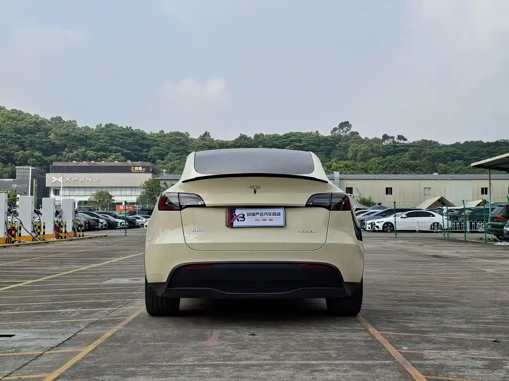 Tesla Model Y — миниатюра 3