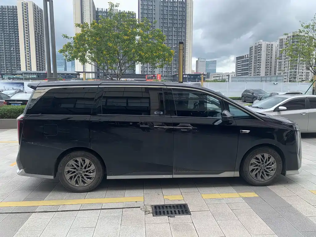 GAC Motor Trumpchi Xiangwang M8 — миниатюра 8