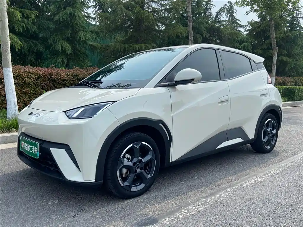 Byd Seagull 2023