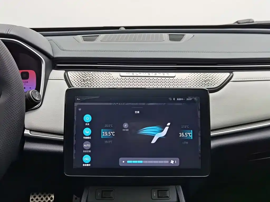 WM Motor EX5 — миниатюра 12