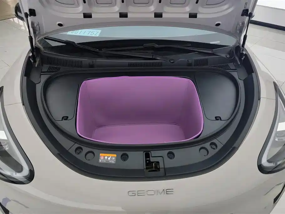 Geely Geome Xingyuan 2026 310km