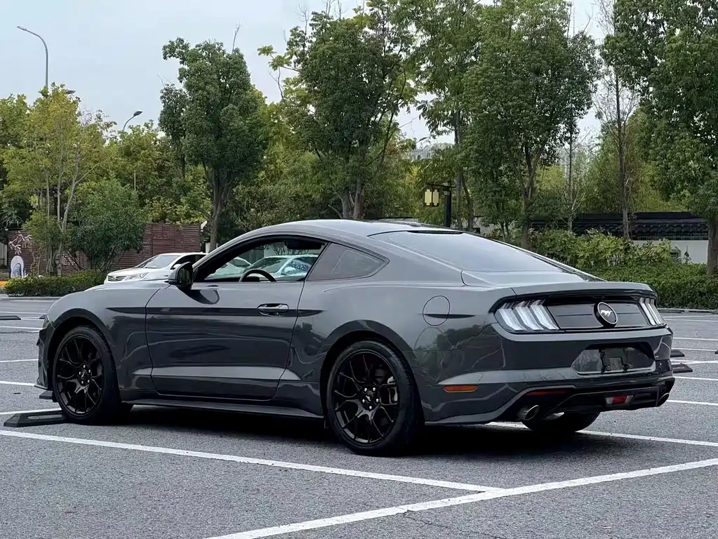 Ford Mustang — миниатюра 9