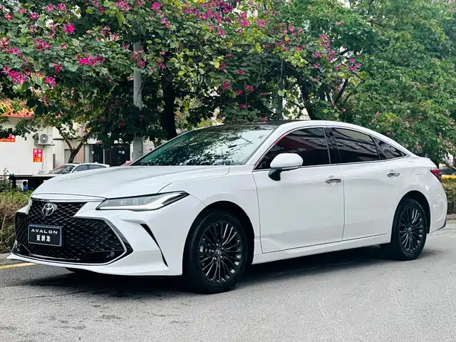 TOYOTA ASIAN DRAGON 2023