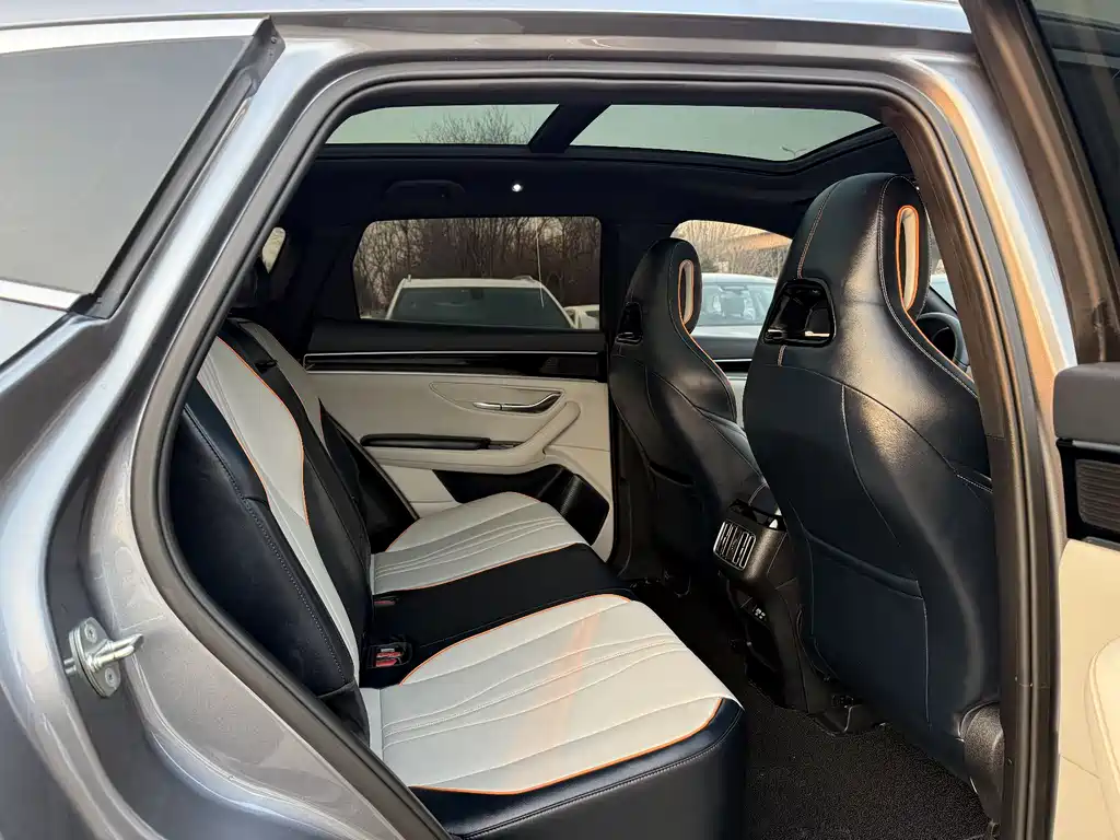 BYD SONGJIANG NEW ENERGY