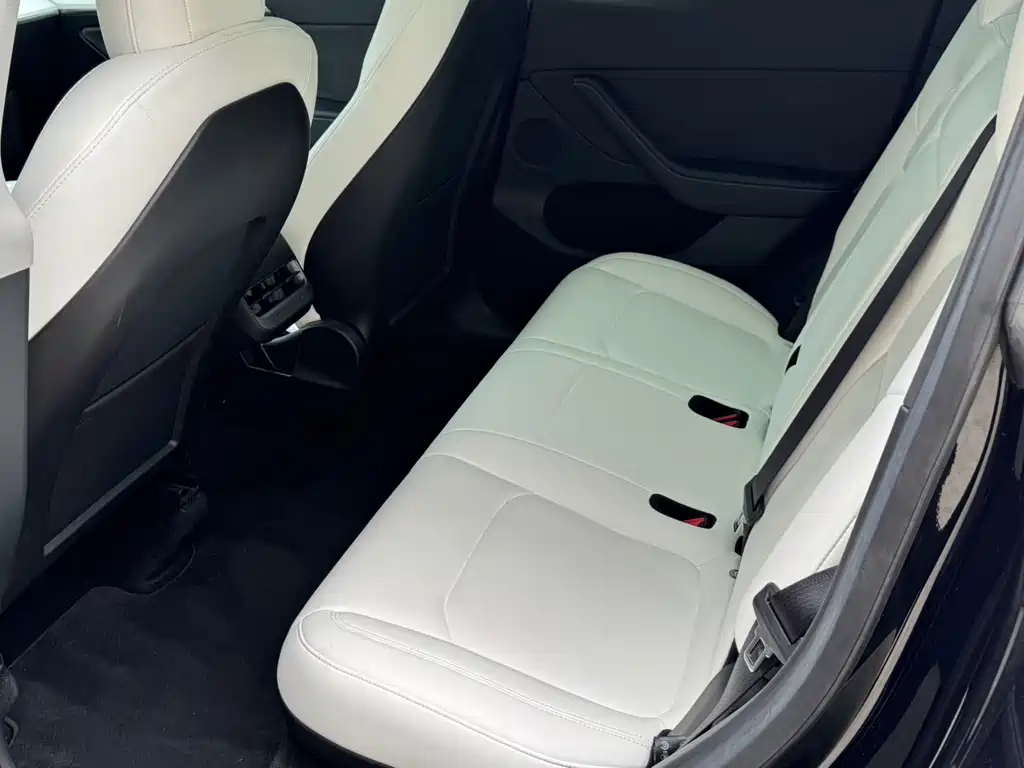 Tesla Model Y 2021 Performance