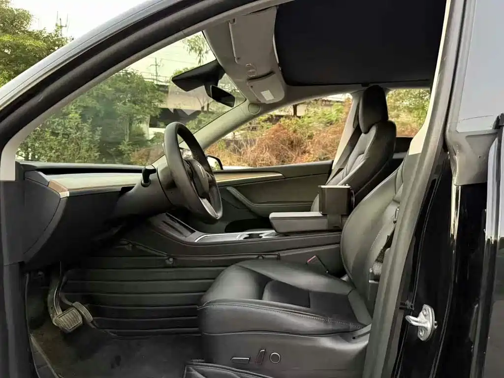 Tesla Model Y — миниатюра 4