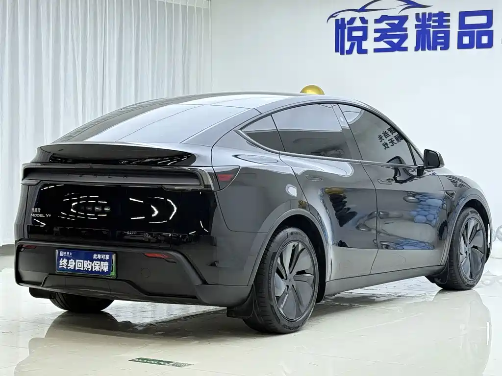 Tesla Model Y — миниатюра 9