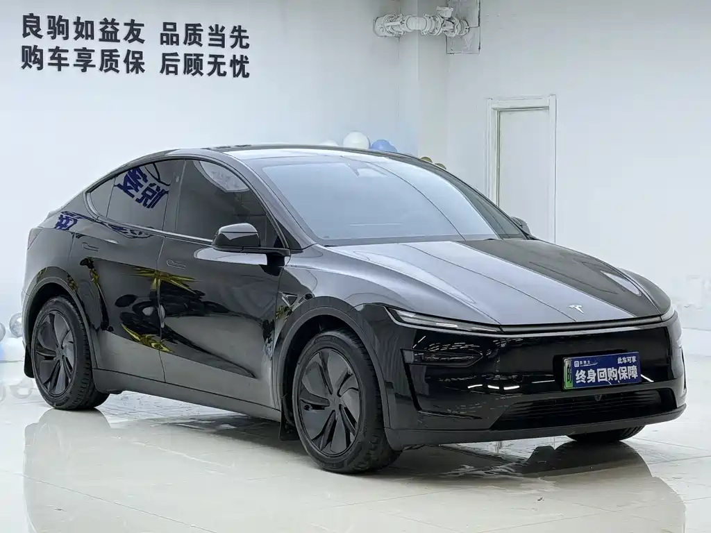Tesla Model Y — миниатюра 3