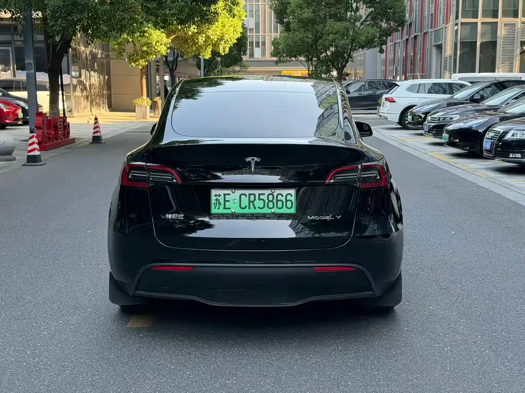 Tesla Model Y — миниатюра 8