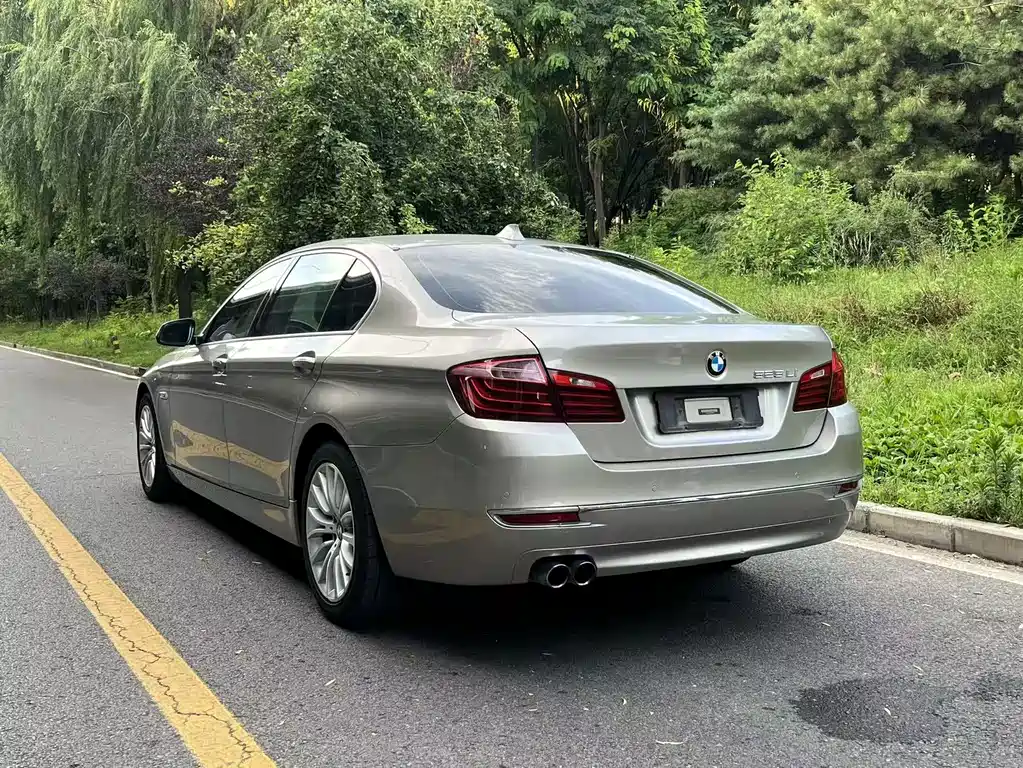 BMW 5 Series 5 2017 525Li Luxury