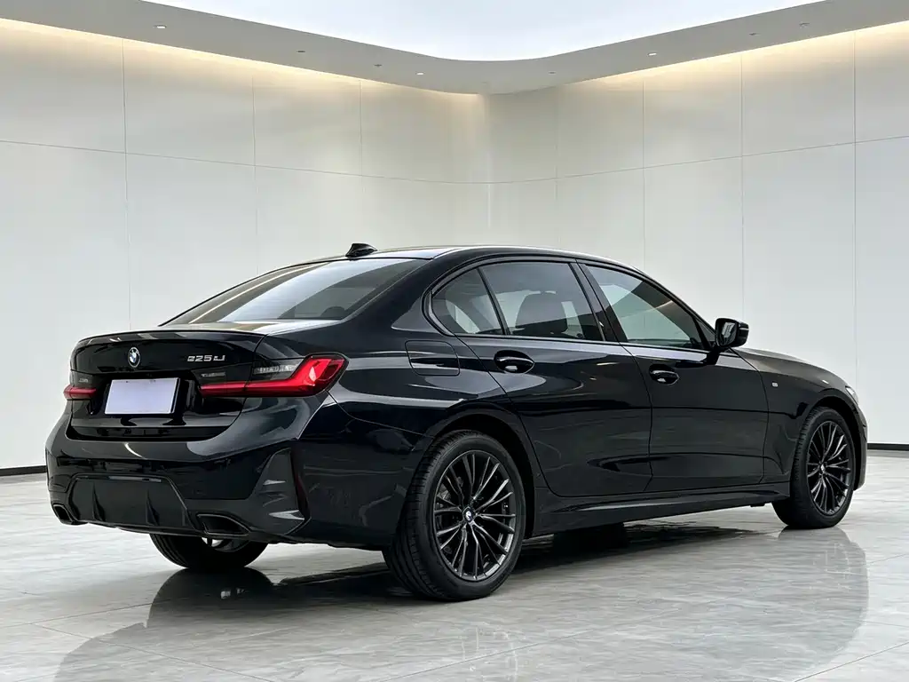 BMW 3 Series — миниатюра 6