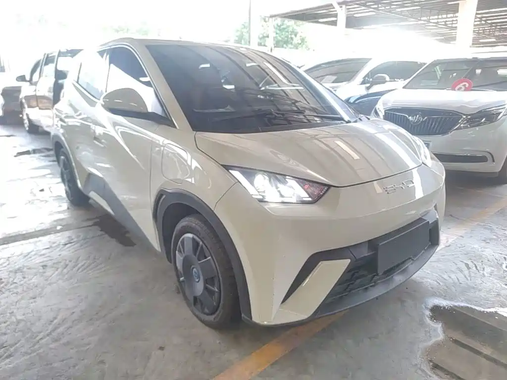 BYD Seagull