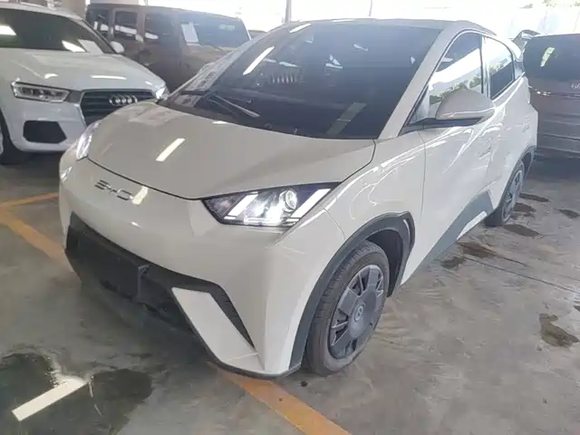 2023 BYD Seagull