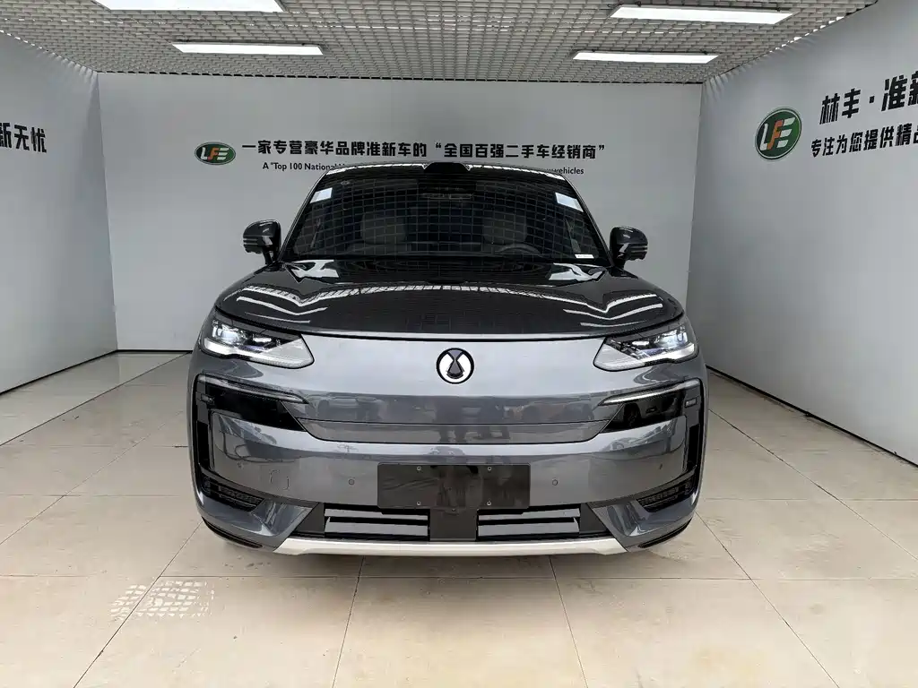 Denza Denza N9 — миниатюра 3