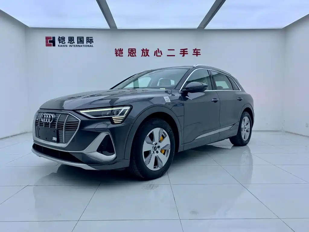 Audi e-tron — миниатюра 2