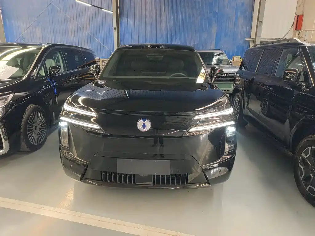 Denza Denza N8L — миниатюра 3