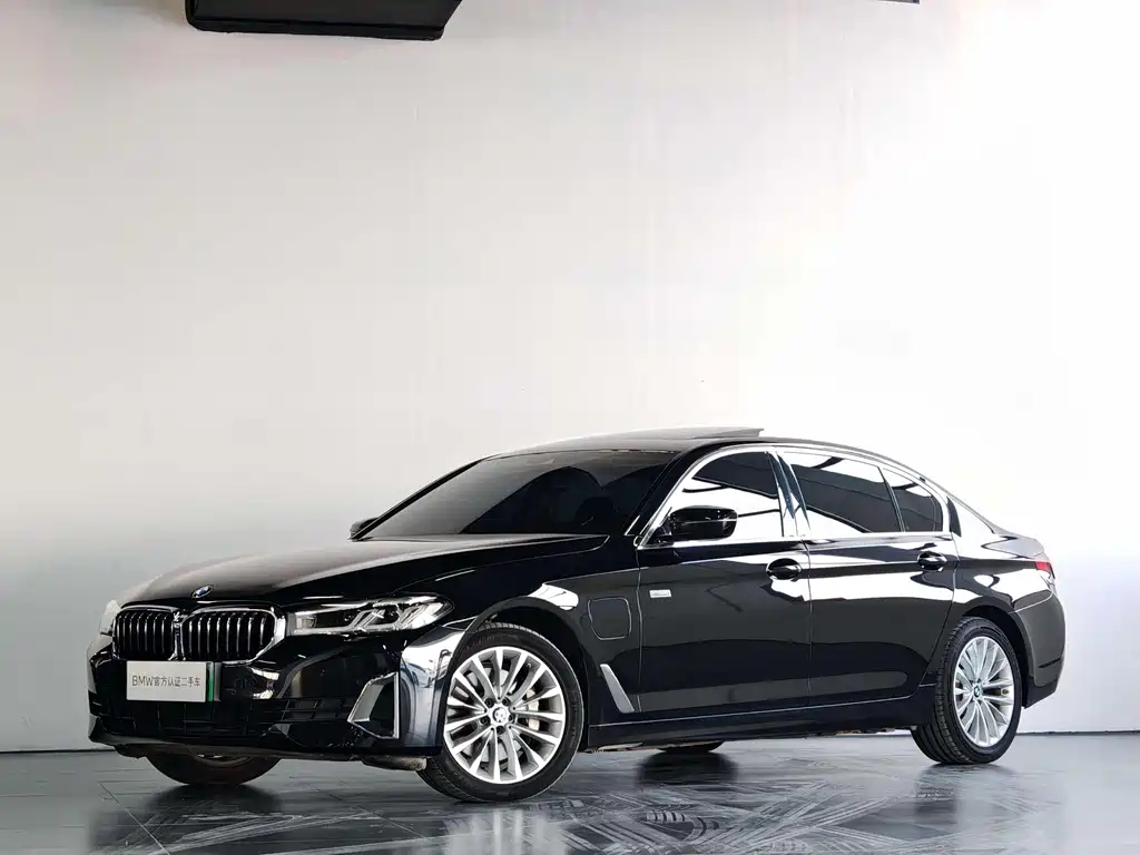 BMW 5 Series New Energy 2021