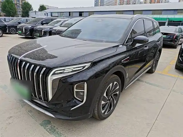 2024 Hongqi HS7