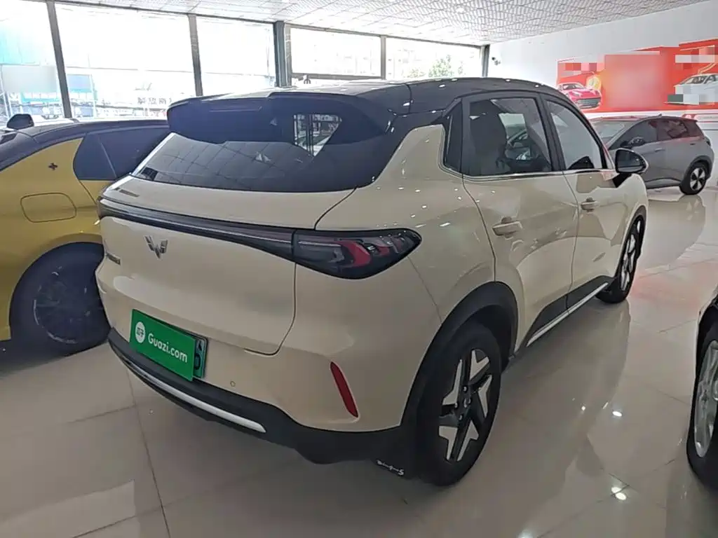 Wuling BinguoS S 2025 325km Flagship