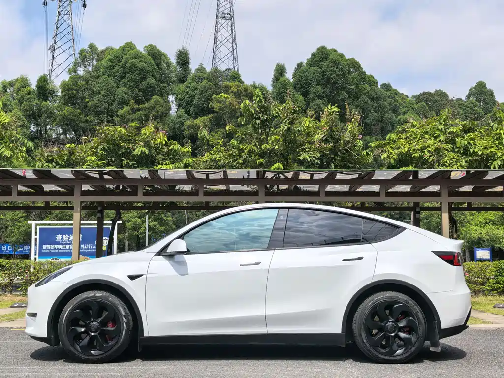 Tesla Model Y — миниатюра 4