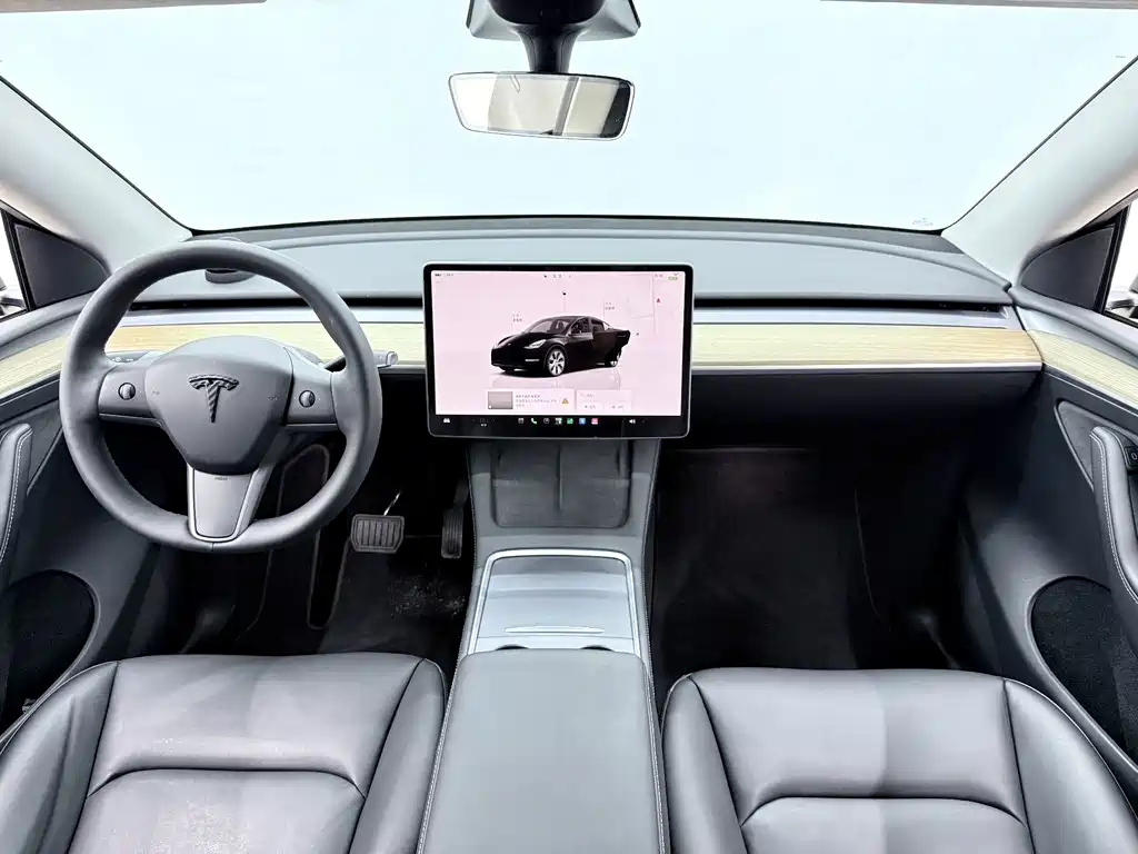 Tesla Model Y — миниатюра 7