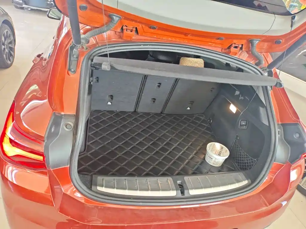 BMW X2 (Import) — миниатюра 19