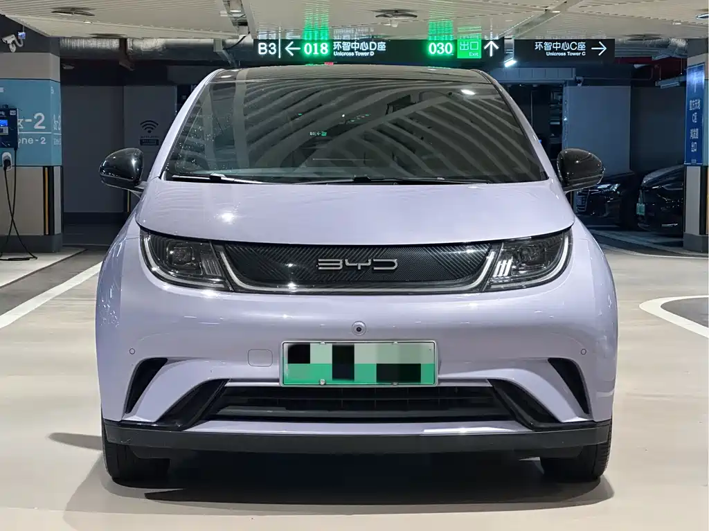 BYD Dolphin 2023 420km Fashion