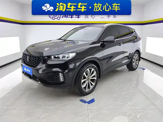 WEI PAI WEI BRAND VV6 2019