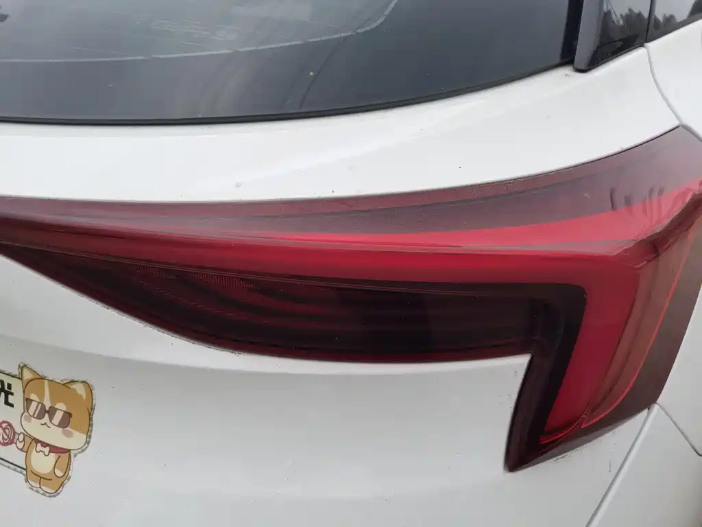 BUICK SLIGHTLY BLUE 6