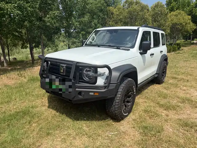2025 TANK 300