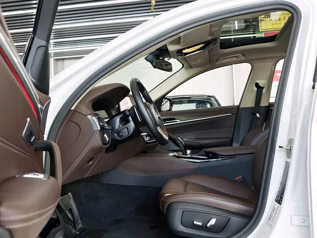 BMW 5 Series 5 2021 530Li xDrive Luxury