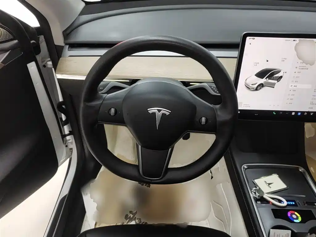Tesla Model Y — фотографии объявления, Фото 11