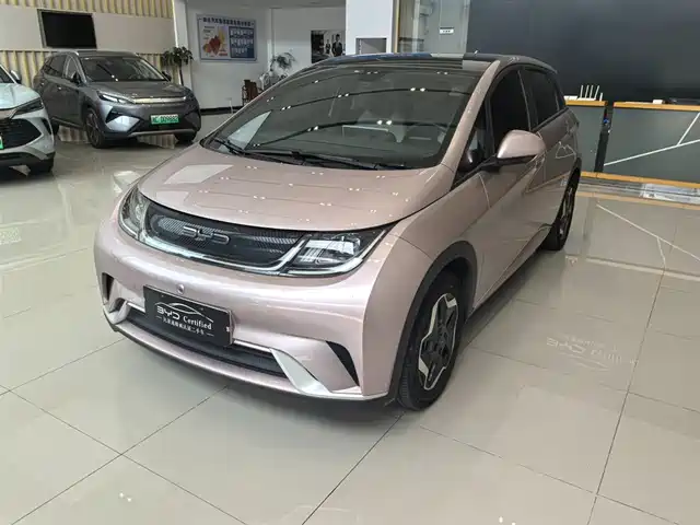 2022 BYD Dolphin