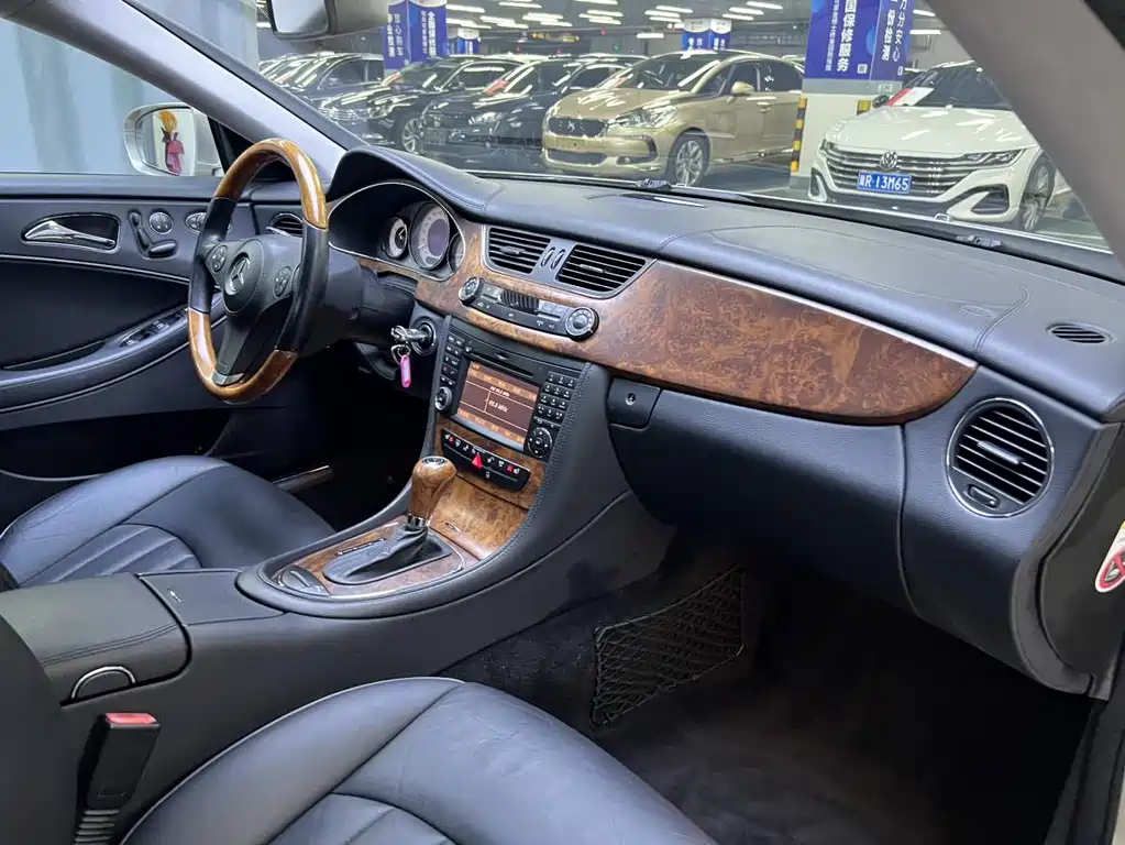 Mercedes-Benz CLS CLS 300, фото 16